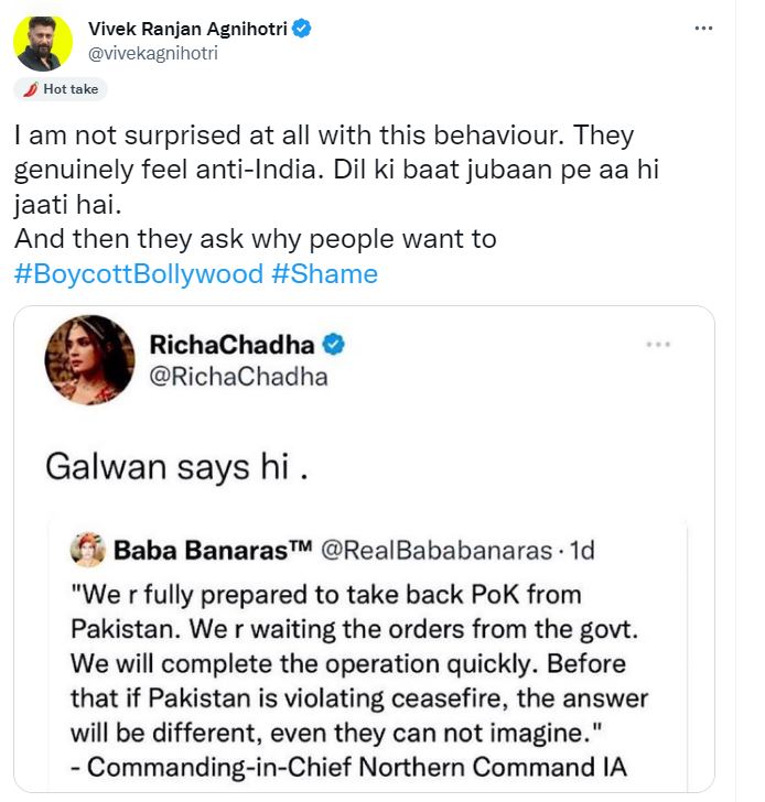 Vivek Ranjan on Richa